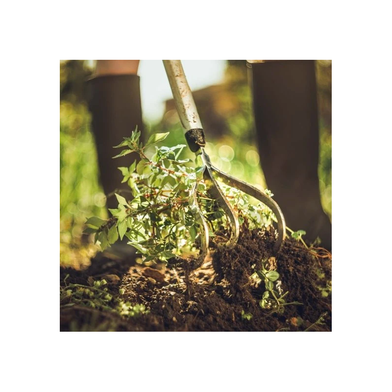 Xact augsnes irdinātājs ar 3 nagiem 150mm