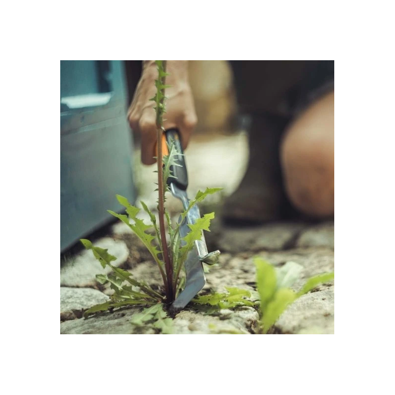 Xact bruģa nazis, mazs