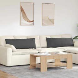 vidaXL Dīvāna spilveni 2 pcs Tumši pelēks 120 x 40 cm Korduroja audums