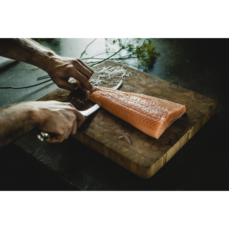 Norden filejas nazis