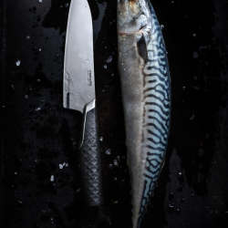 Taiten vidējais pavāra nazis 16 cm