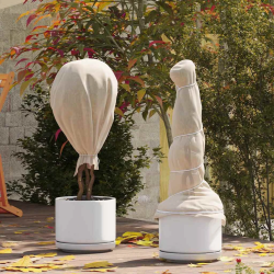 vidaXL Sals aizsardzības augu flīss Bēša 100 x 1,6 m Nesintētā auduma