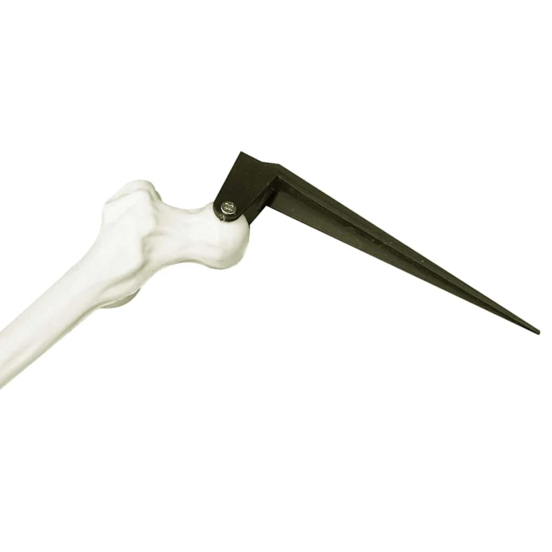 vidaXL Halloween skelets Balts 45,5 x 13 cm Plastmasa