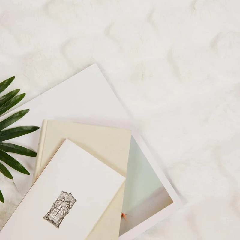 vidaXL Mākslīgā truša kažokādas sega 4 pcs Balts 150 x 220 cm