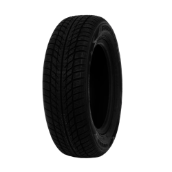 Ziemas riepa sw608 195-65r15