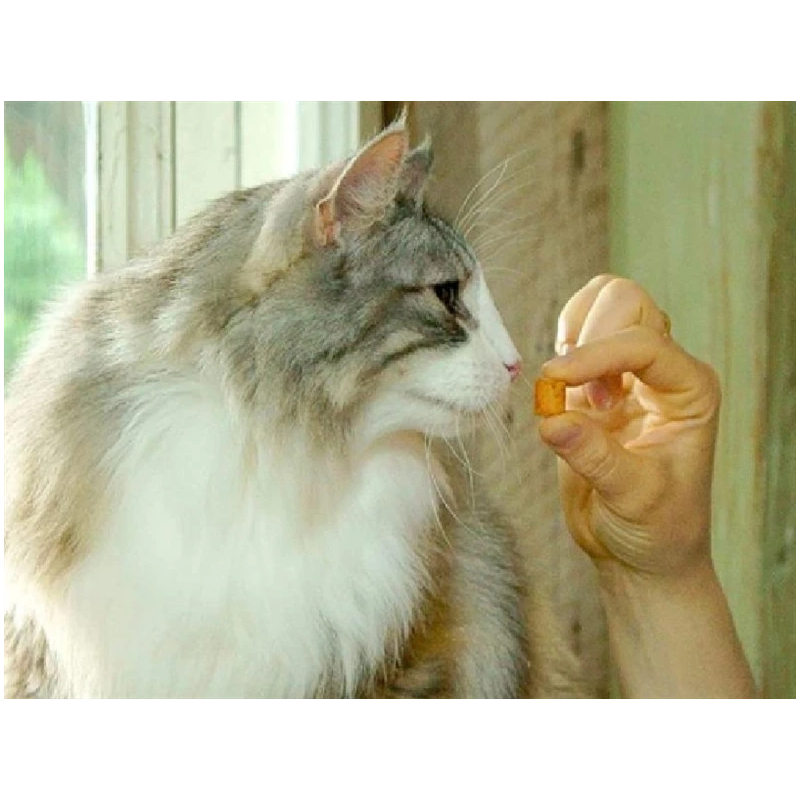 Gardums kaķ. churu bites tunz.-ķemm. 30g