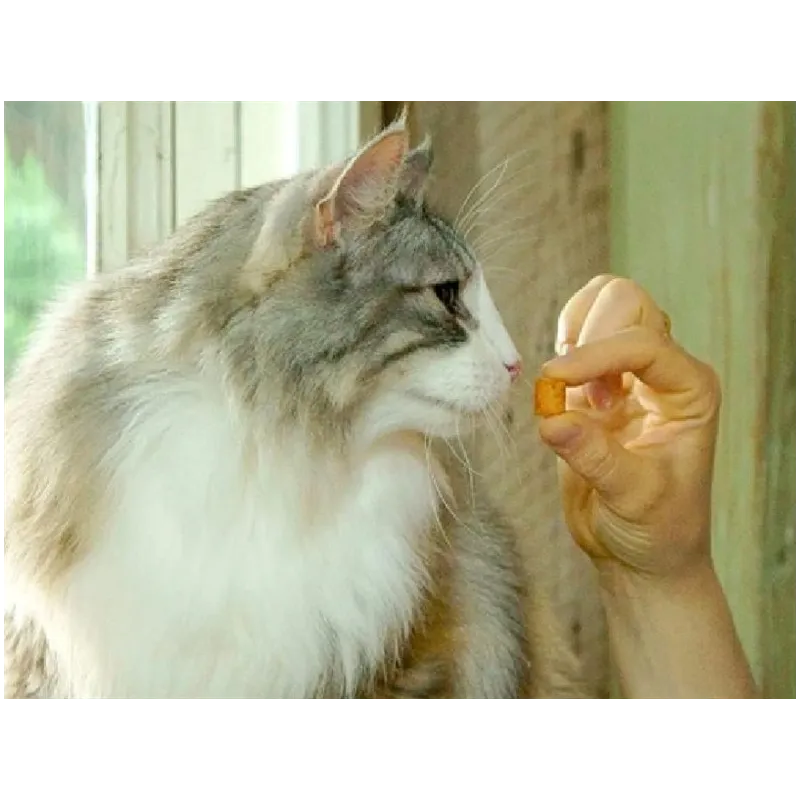 Kārumi kaķiem Inaba Churu Cat Bites Chicken Tuna Scallop, vistas gaļa-jūras veltes-tunzivis, 0.01 kg, 3 gab.