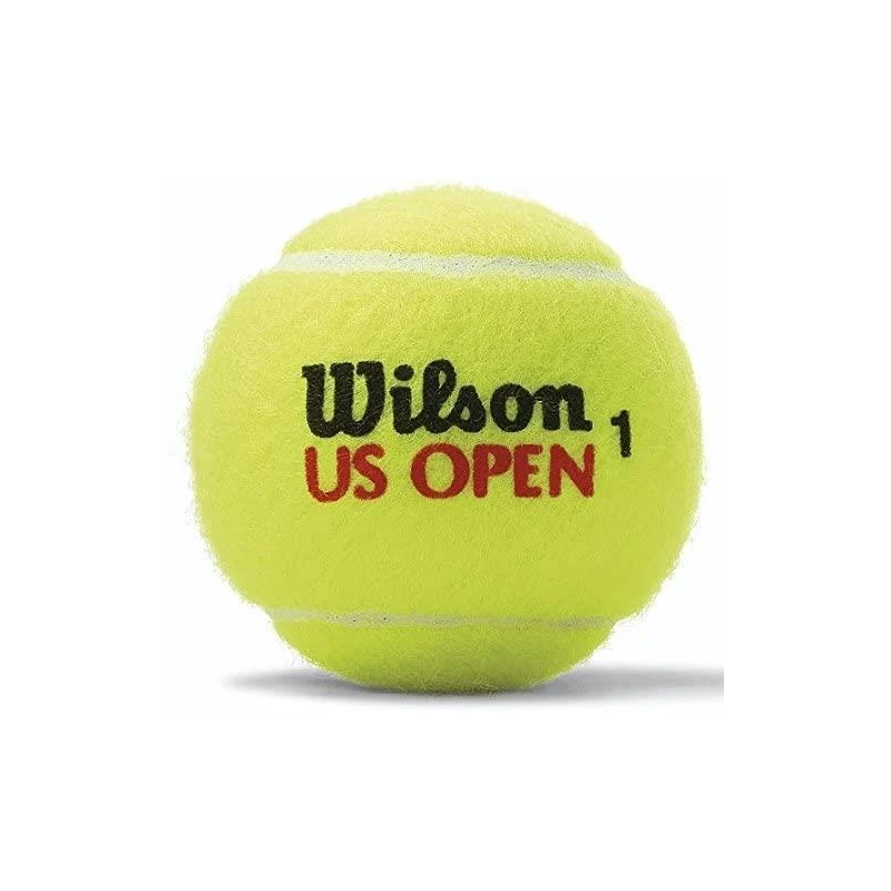 Tenisa bumbiņas Wilson US Open WRT116200 4gab