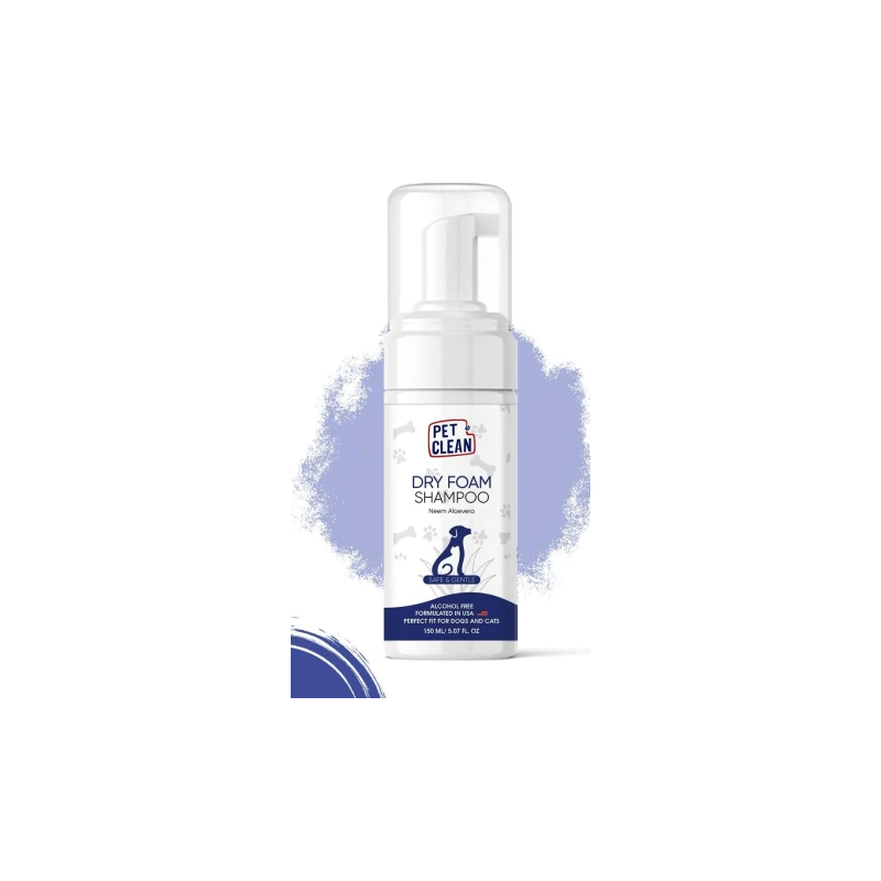 DRY FOAM SHAMPOO CUCUMBER MELON 150ml