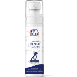 DENTAL SPRAY 100ml