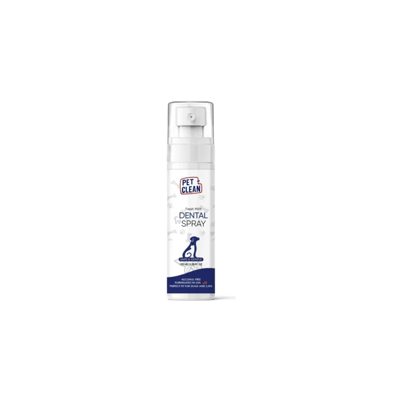 DENTAL SPRAY 100ml