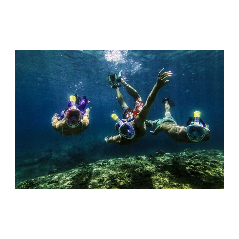 Free Breath Snorkeling Mask M2068G L-XL blue