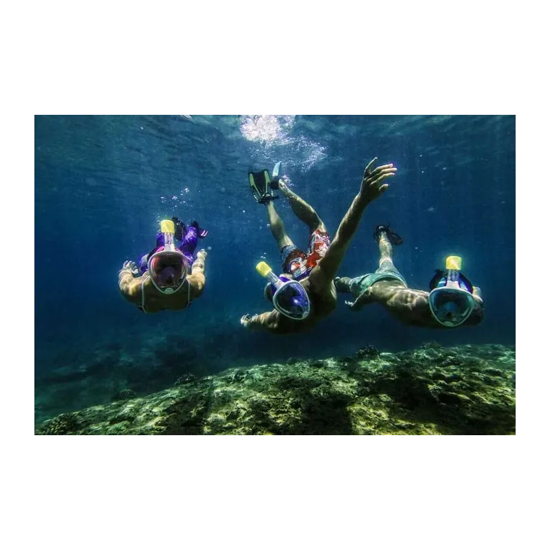 Free Breath Snorkeling Mask M2068G L-XL black