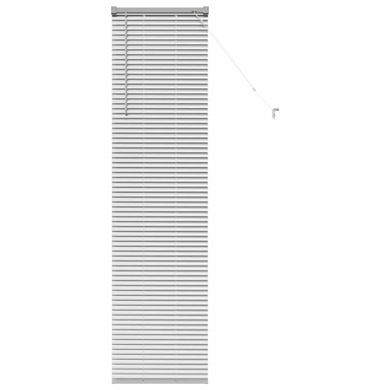 vidaXL Logu žalūzija ar aizkariem Sudraba Alumīnijs