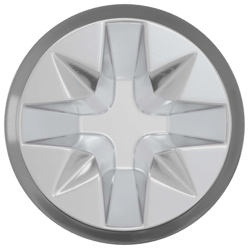 vidaXL Kameru slēdža skrūve 2 pcs Sudrabs un melns M6 x 40 mm