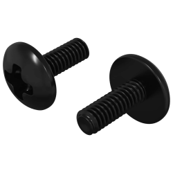 vidaXL Ausu skrūves 2 pcs Melna M4 x 10 mm Tērauds