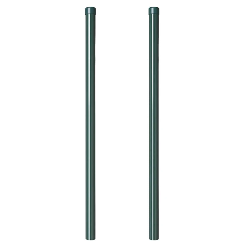 vidaXL Žoga āķis 2 pcs Zaļa 100 cm Pulverkrāsots tērauds
