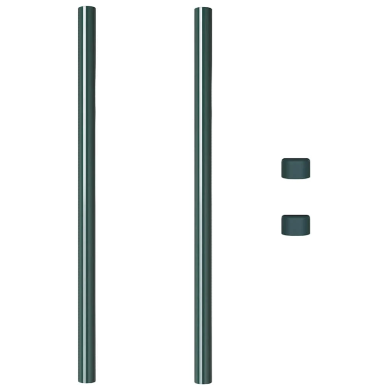 vidaXL Žoga āķis 2 pcs Zaļa 100 cm Pulverkrāsots tērauds
