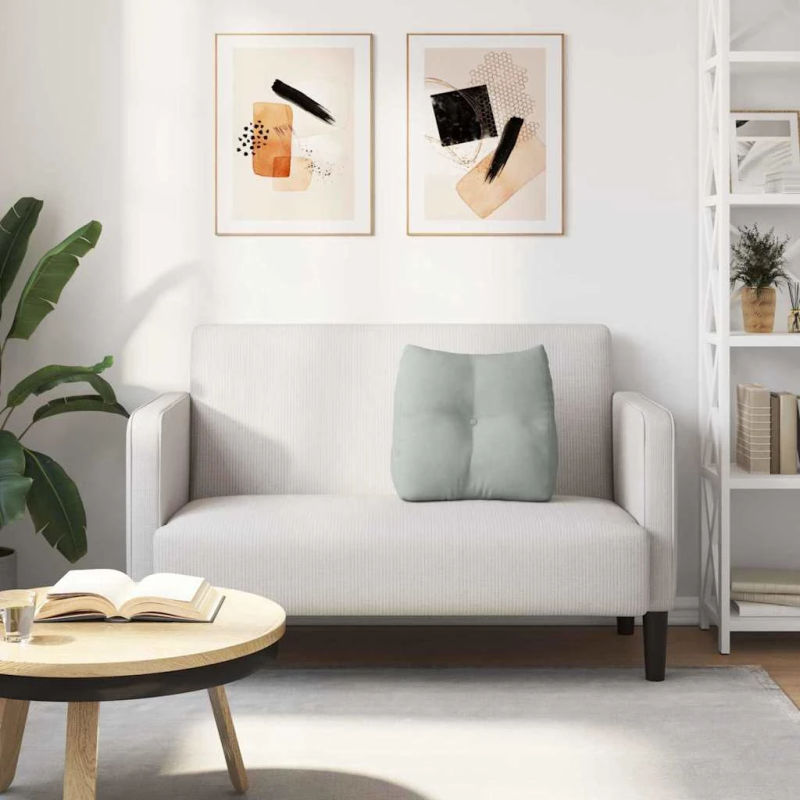 vidaXL Atpakaļ spilvens Gaiši pelēks 45 x 24 x 50 cm Samts