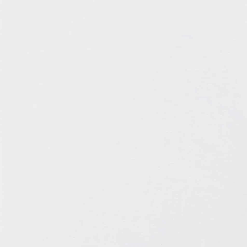 vidaXL Gleznotāja maskēšanas lentes 12 pcs Balts 19mm x 50m Papīrs