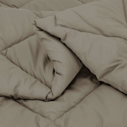 vidaXL Vasaras segas Gaiši pelēks 240 x 260 cm Mikrošķiedra