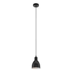 Fixt light hang priddy 49464 60w e27