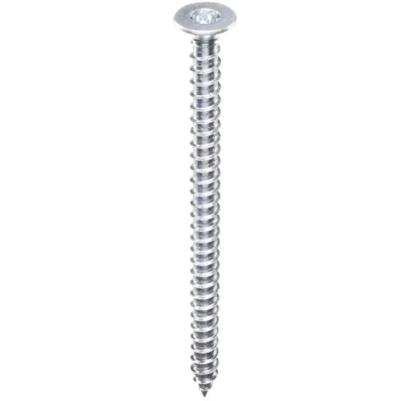 Dībelis ar skrūvi 10x160 t88 torx 50gb