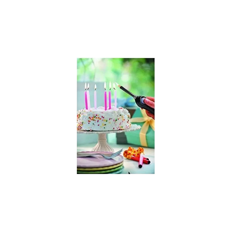 Grila aizdedzinātājs Bic Bic Mega 862261