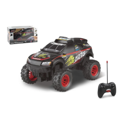 Automobilis r. rally truck dhtrc10254