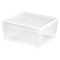 Kaanega hoiukarp, esemete hoidmiseks Curver 162119, 18.5 l, läbipaistev v., 40 x 34 x 16 cm