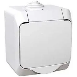 Pistikupesa Schneider Electric Cedar Plus WDE000541, maandusega, IP44, valge v.