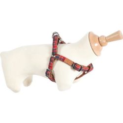 Iemaukti Zolux Imao Scott, zili-sarkani, 550-800 x 20 mm