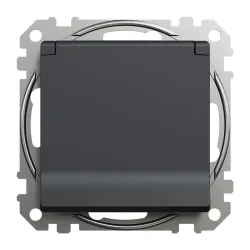 Pistikupesa Schneider Electric Sedna Design SDD214024, maandusega, IP44, antratsiit v.