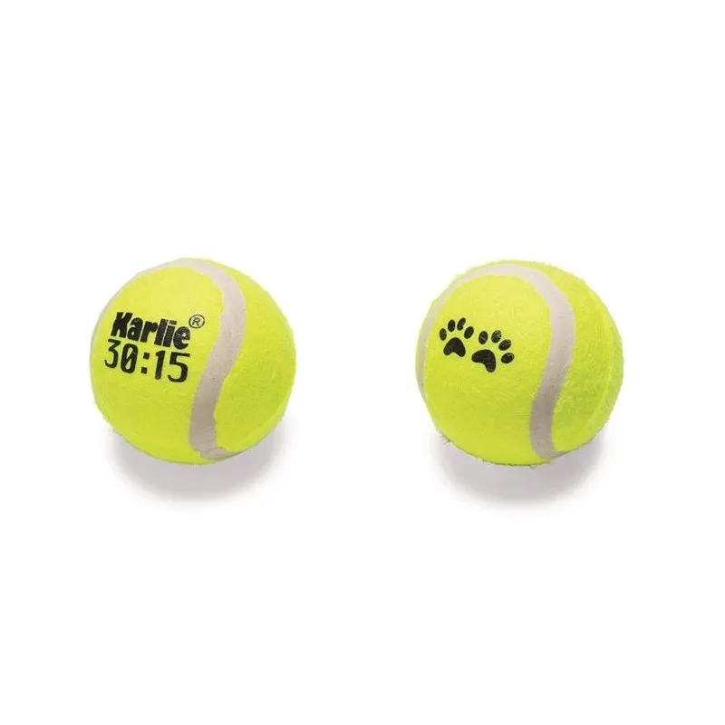 Dog toy tennisball yel 6 2x