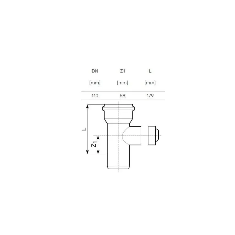 Tīrīšanas lūka āra kanalizācijai Magnaplast, 110 mm