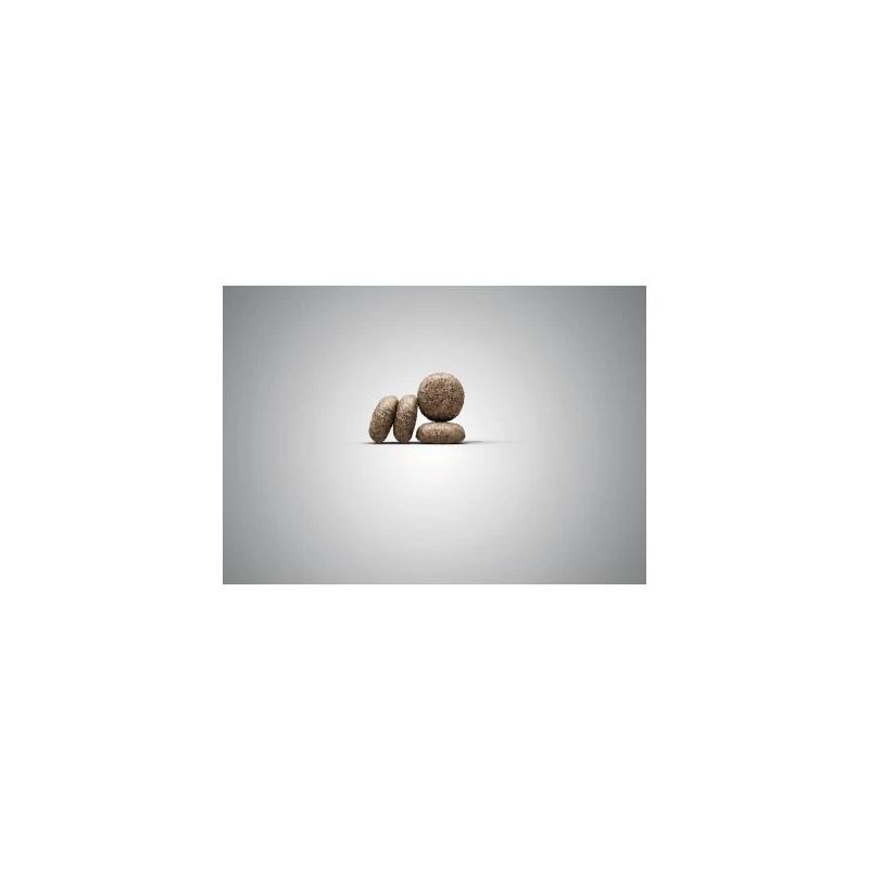 Sausā barība mazām šķirņu suņiem JOSERA Mini Deluxe, 900 g