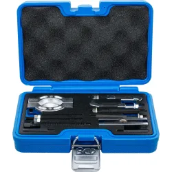 74569 Novilcēju kompl. 9gb BGS