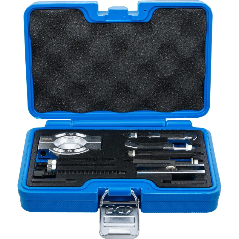 74569 Novilcēju kompl. 9gb BGS