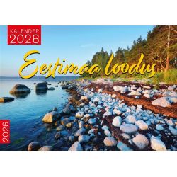 Hermētiķis Penosil All Weather Sealant 919 300 ml