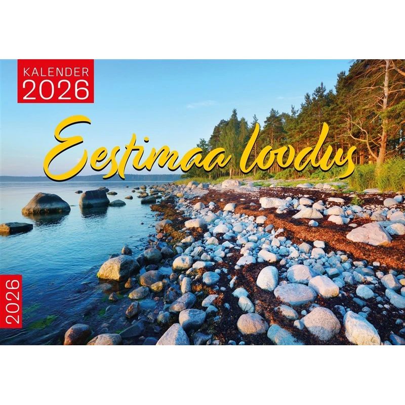 Hermētiķis Penosil All Weather Sealant 919 300 ml