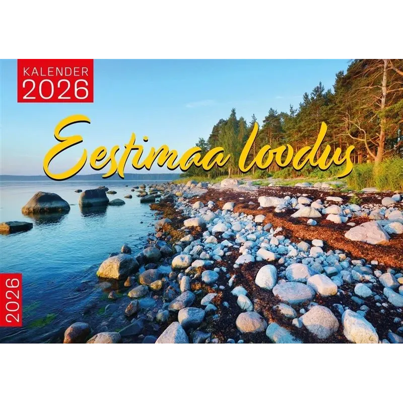 Hermētiķis Penosil All Weather Sealant 919, 0.3 l, caurspīdīga krās.