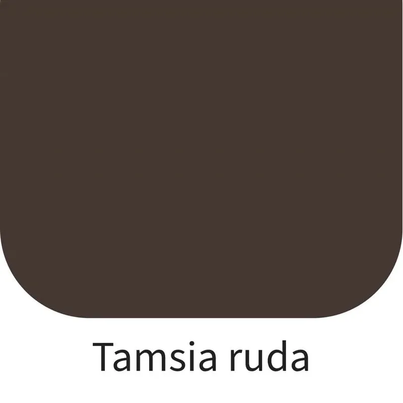 Krāsas koka fasādēm Rilak Akvatop, tumši brūna krās., 9 l