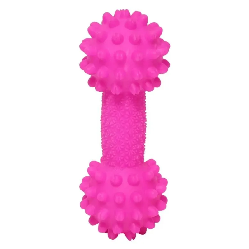 Rotaļlieta gumijas Kauls 17x6cm, mix