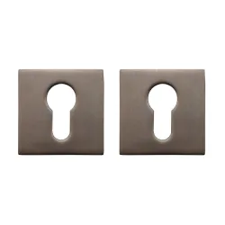 Durų apyraktė MP 0026313, grafito sp.