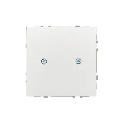 Recessed cover-blind LIREGUS MODERN, champagne color