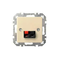 Speaker connection socket epsilon ,įg