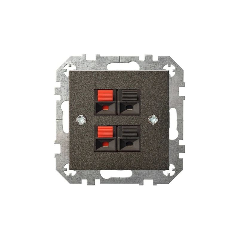 Audio skaļruņu kontaktligzda Liregus Epsilon. melna