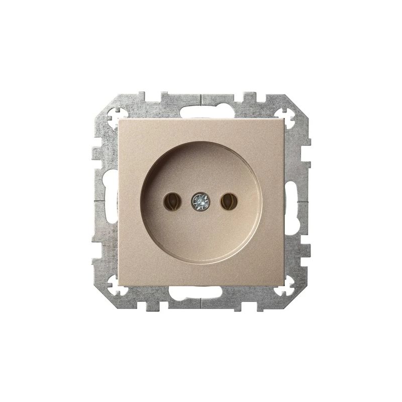 Rozete liregus epsilon b-r šamp.