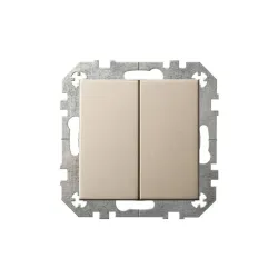 Perjungiklis Liregus Epsilon, 2 kl., šampano sp.