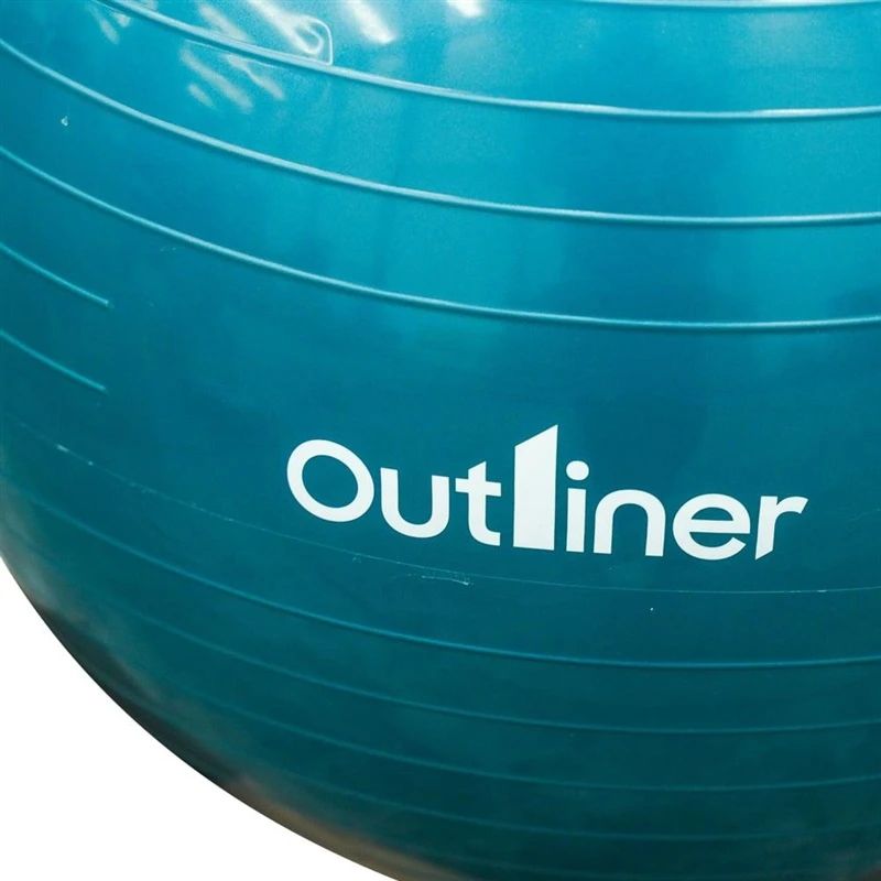 Gym ball pvc ls3221-55cm